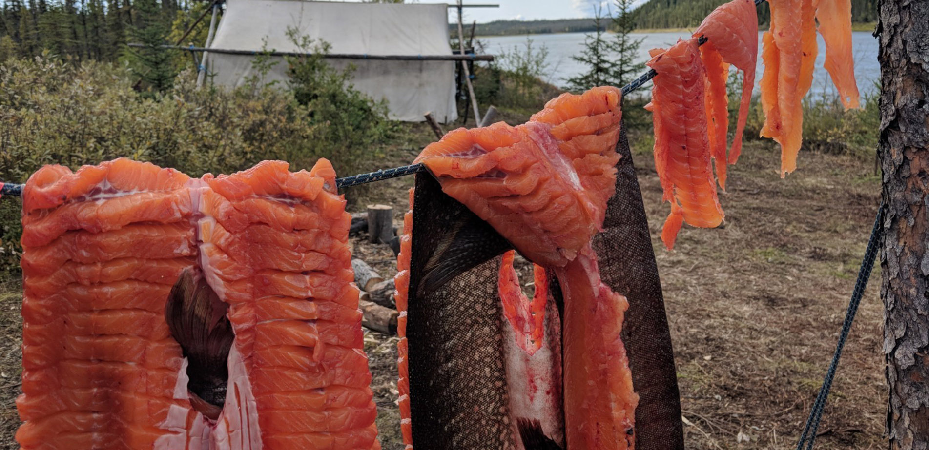 banner-northern-food